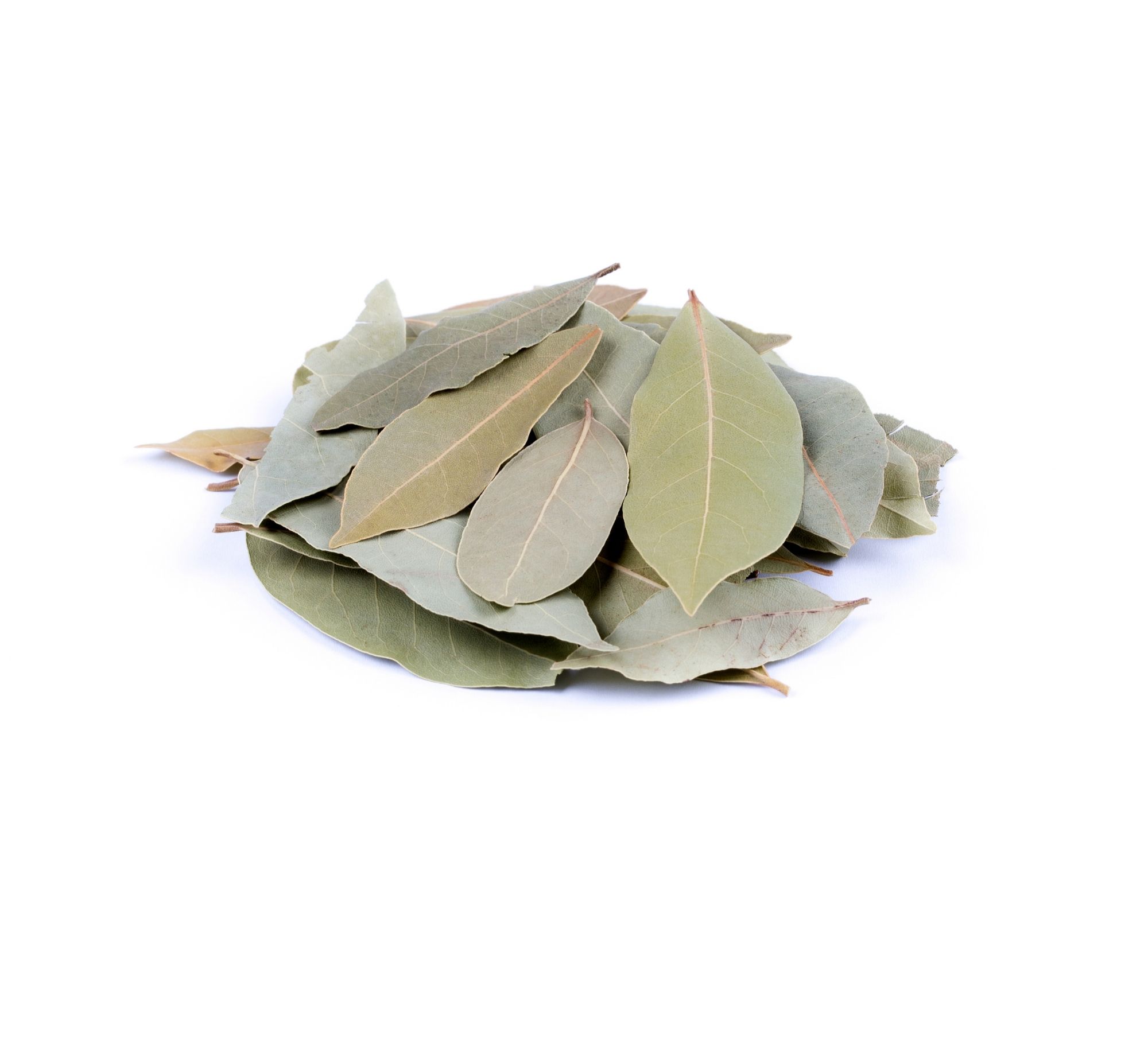 Whole dried Turkish laurel (bay) leaves